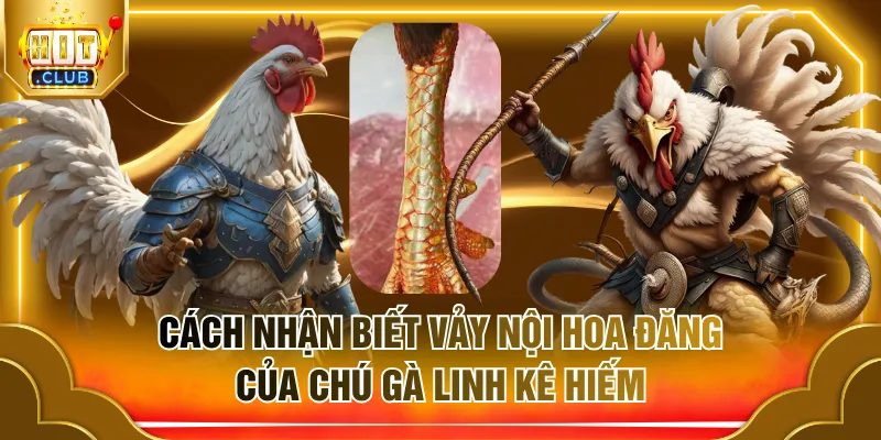 vảy nội hoa đăng