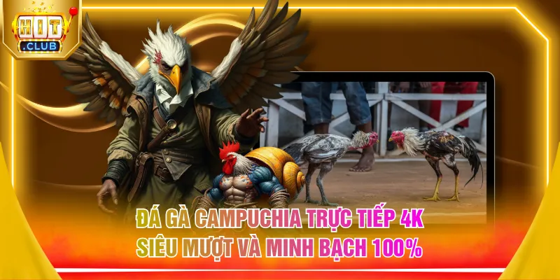 Đá gà Campuchia trực tiếp 4K siêu mượt và minh bạch 100%