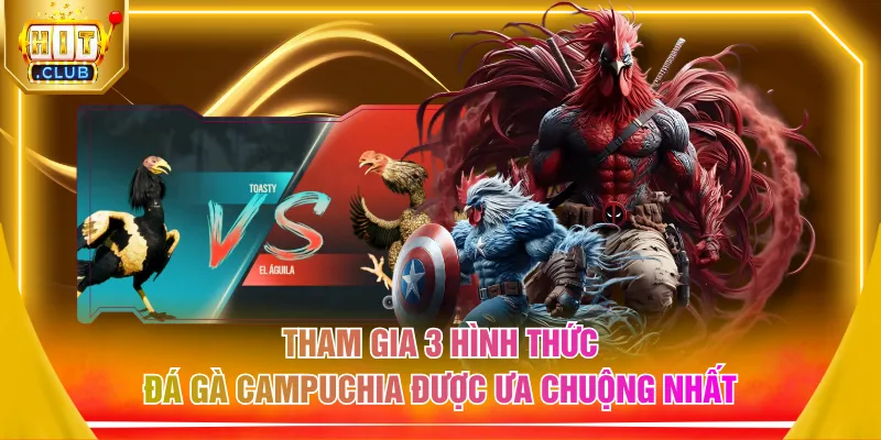 Tham gia 3 hình thức đá gà Campuchia được ưa chuộng nhất