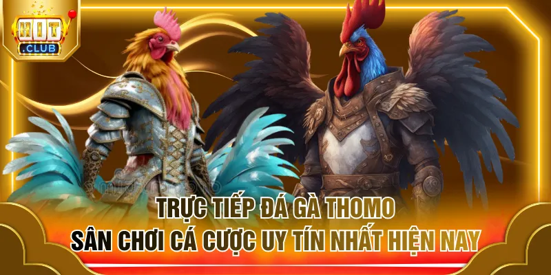 trực tiếp đá gà Thomo